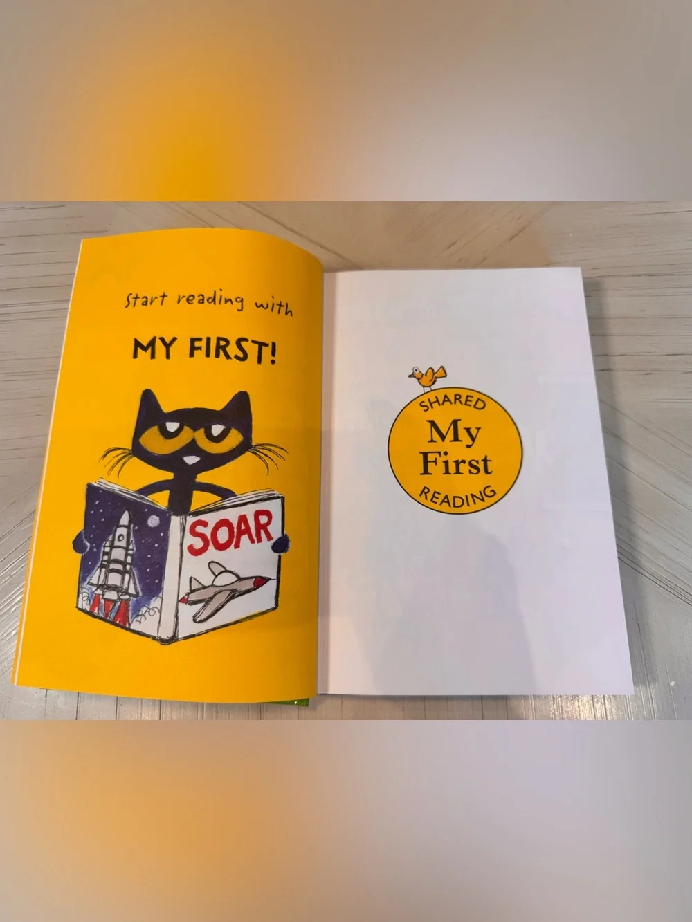 Pete the Cat’s Giant Groovy Book – 9 Books in 1 – Hardcover – NEW